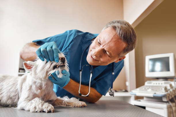 Best Emergency Wisdom Tooth Extraction in Troy, AL